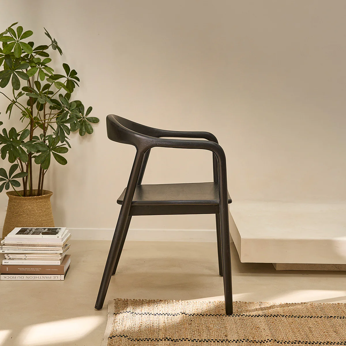 Lot de 2 chaises en teck massif noire - Image 4